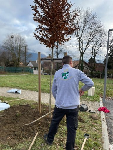 plantation arbre trièves