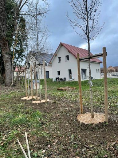 plantation arbre trièves